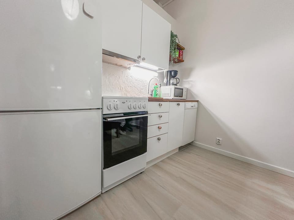 Kitchen or kitchenette, dishwasher, oven, stove