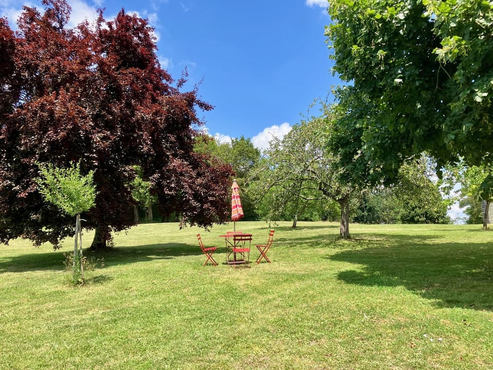 Day, Natural landscape, Garden, Garden view