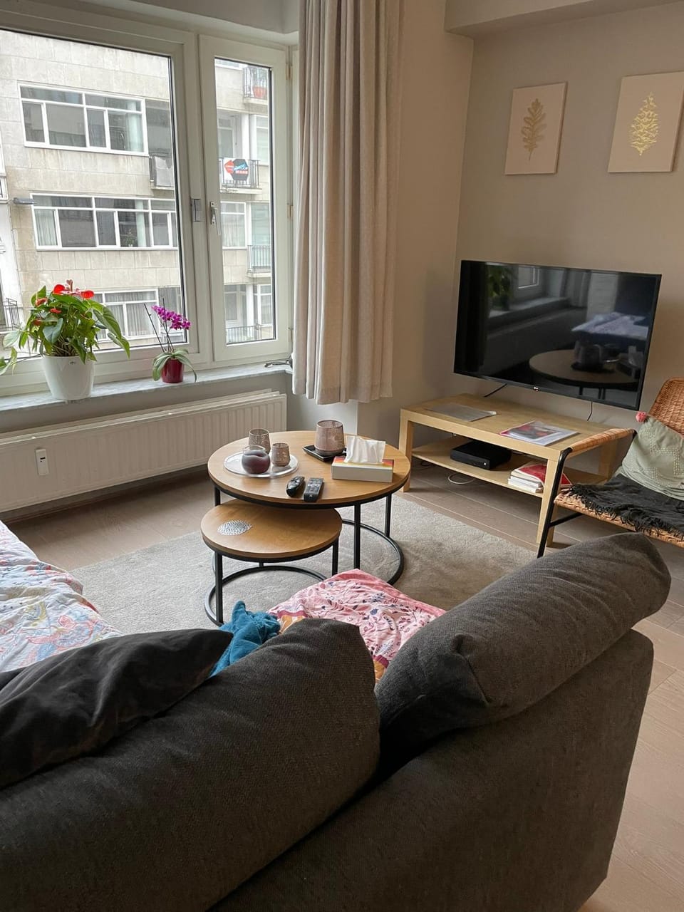 TV and multimedia, Living room, Seating area
