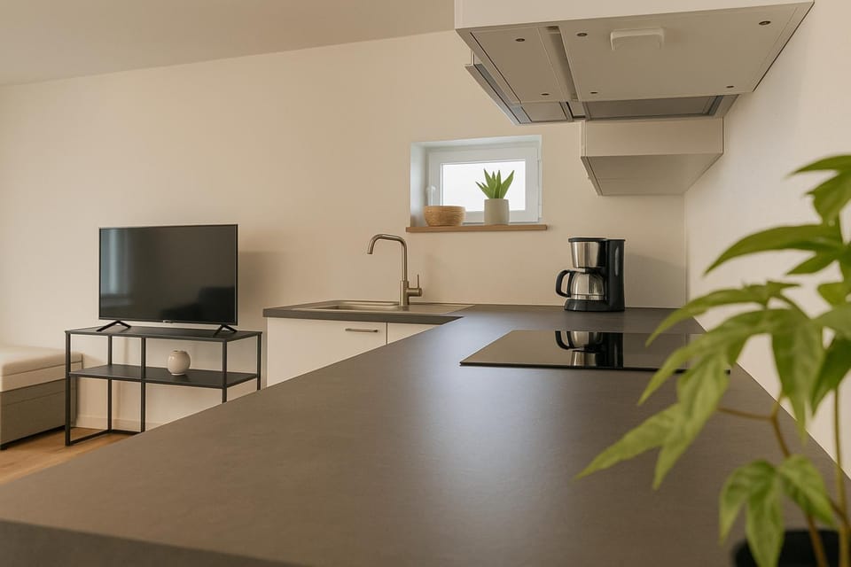 Living room, kitchen