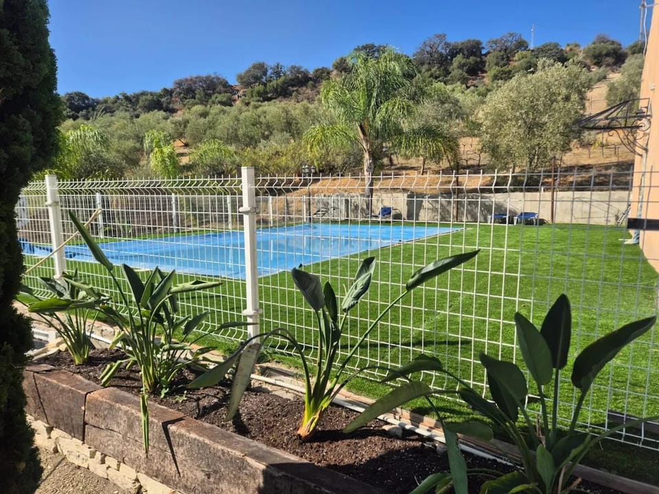 Pool view