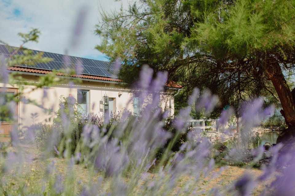 Property building, Garden, Balcony/Terrace, Garden view, Area and facilities