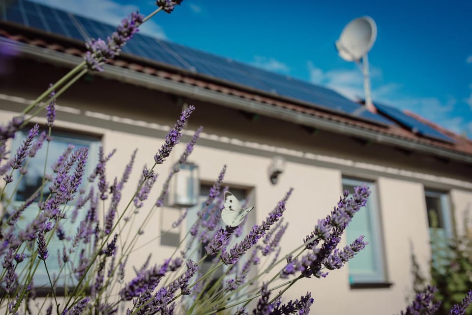 Property building, Facade/entrance, Garden, Balcony/Terrace