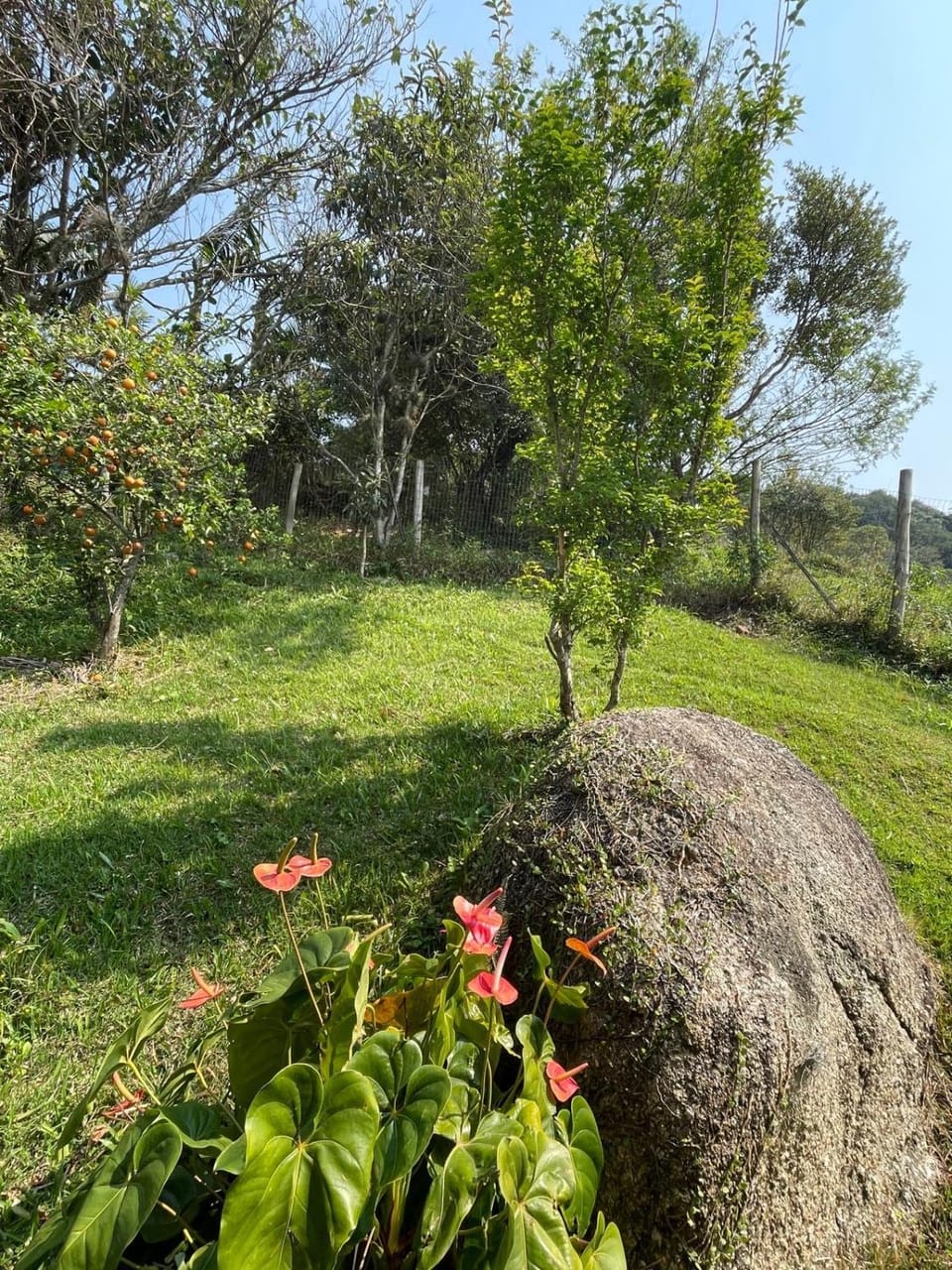 Villa A with Sea View Villa in State of Santa Catarina