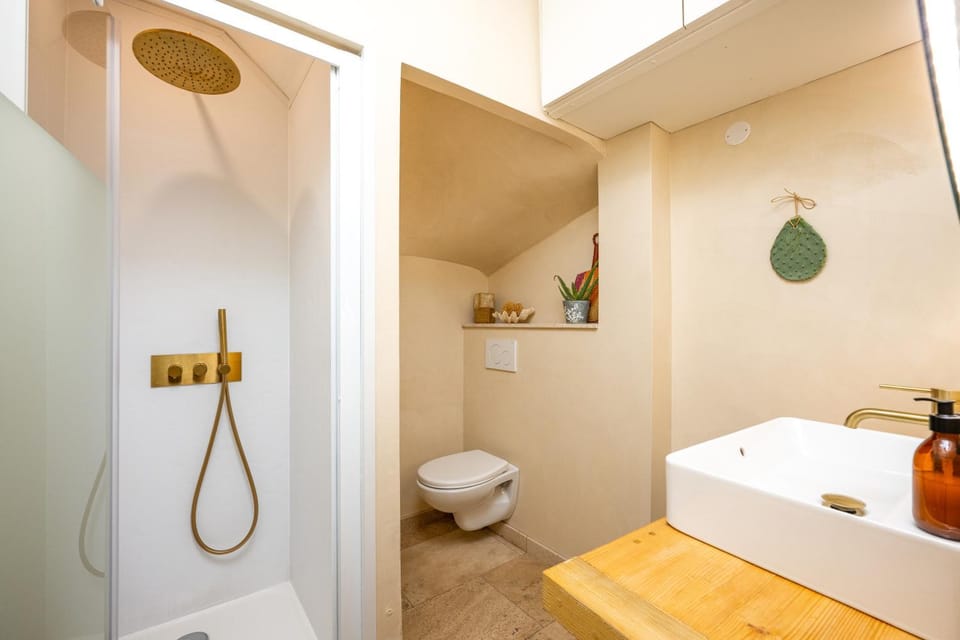Shower, Toilet, Bathroom, towels