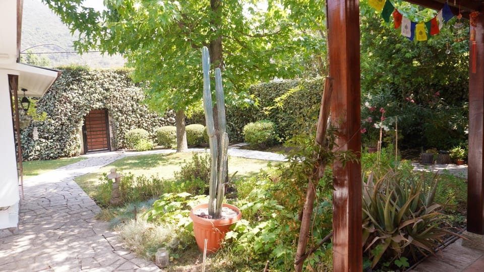 Day, Garden, Garden view