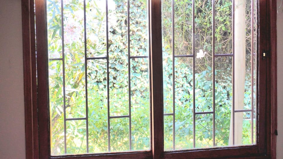 Day, Garden view