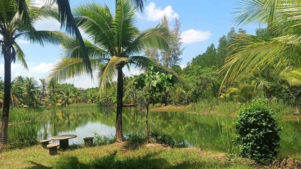 Natural landscape, Garden