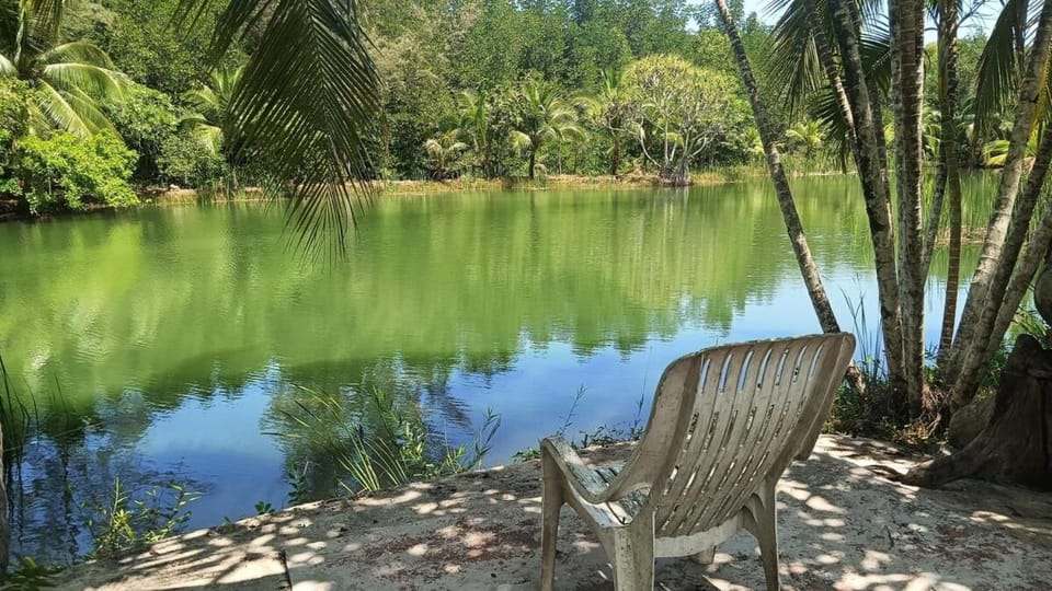 Natural landscape, Lake view
