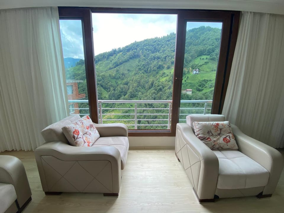 Natural landscape, Living room, Seating area, Mountain view