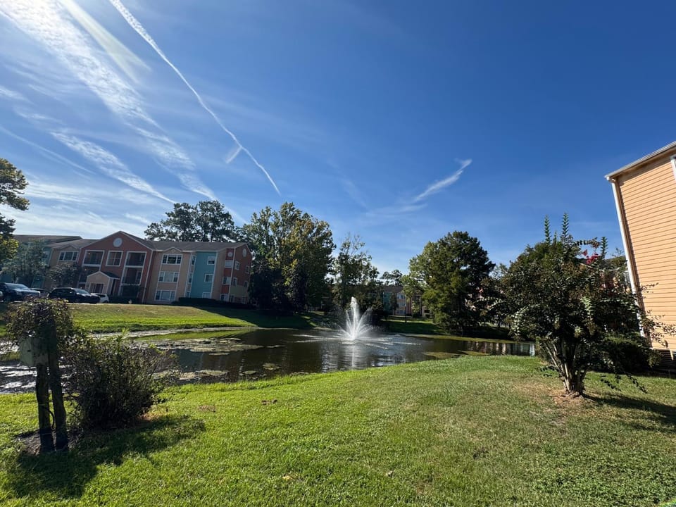 A cozy place near UF Vacation rental in Gainesville
