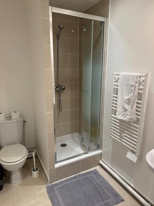 Shower, Toilet, Bathroom, towels