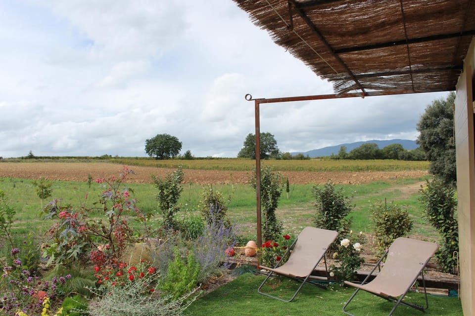 Natural landscape, Garden, Garden view
