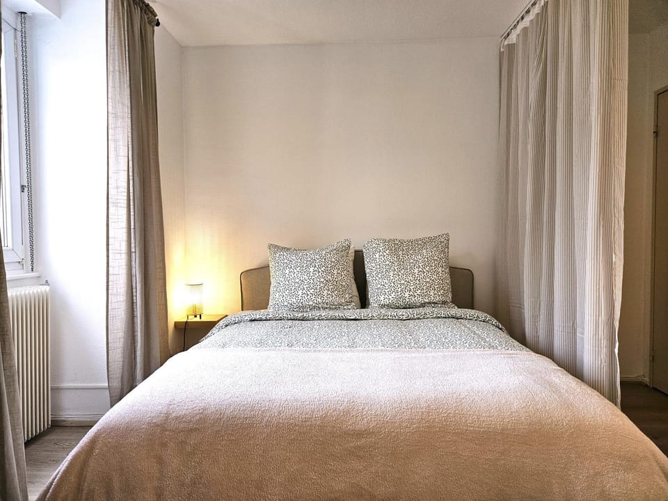 Studio Cosy- Hyper Centre Ville Apartment in Colmar