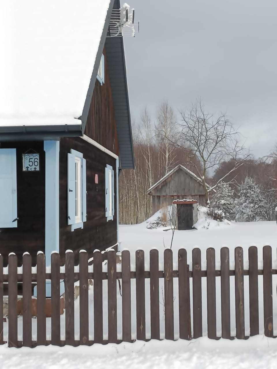 Winter