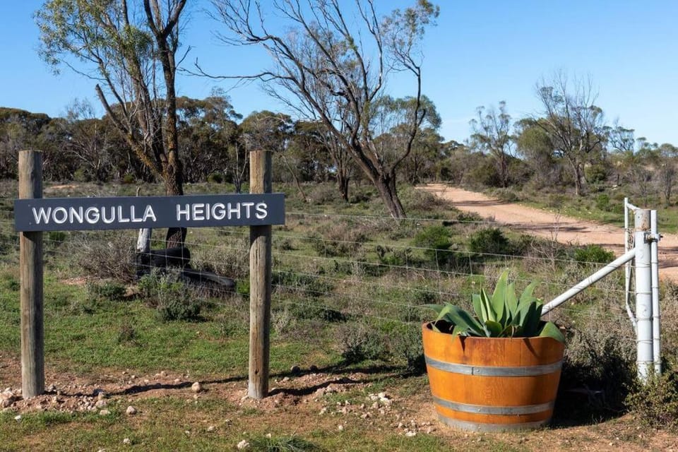 Property logo or sign, Natural landscape, Street view
