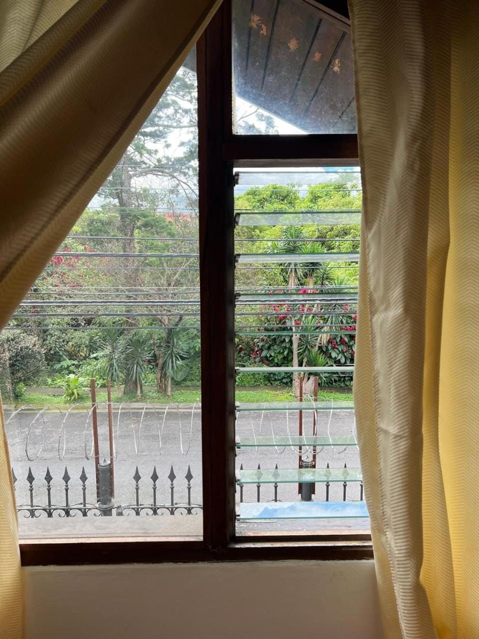 View (from property/room), Garden view