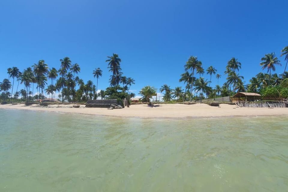 Praia do Patacho - Rota Ecológica de São Miguel dos Milagres Apartment in State of Alagoas, Brazil