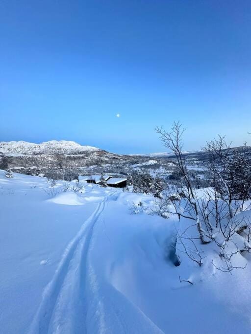 Panorama ski inn out, jacuzzi,Badstu House in Vestland