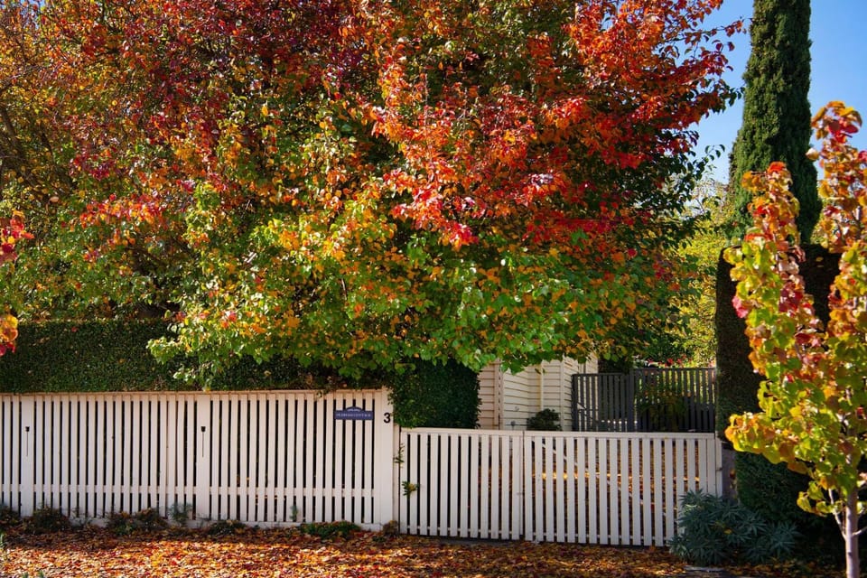 Durham Cottage House in Daylesford