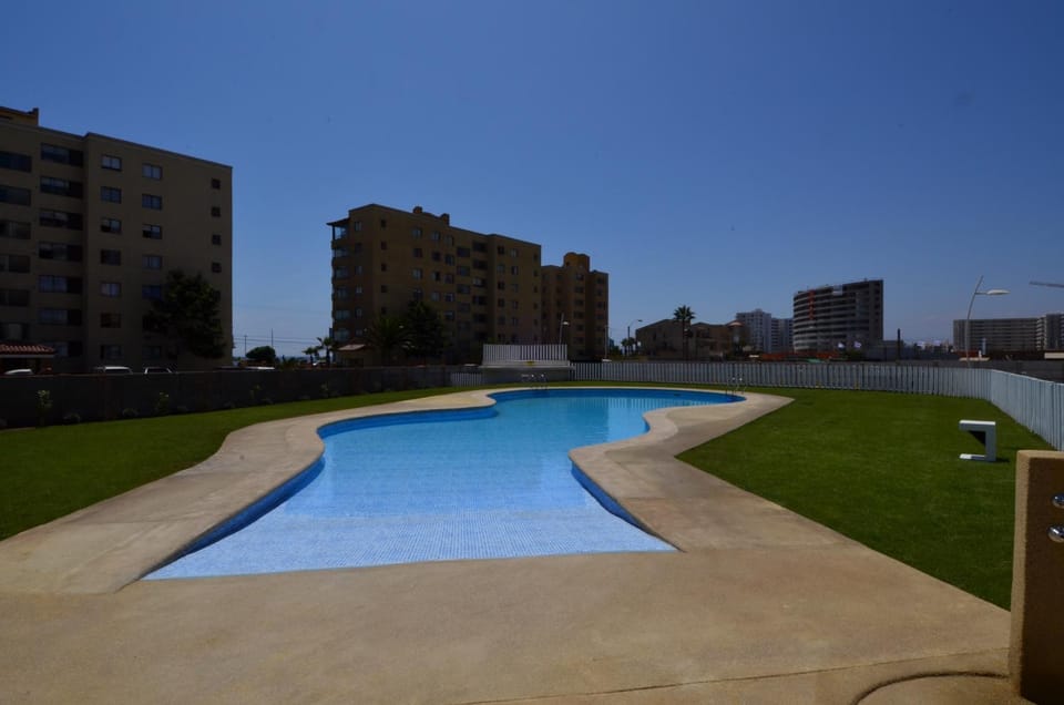 Day, Garden, Swimming pool