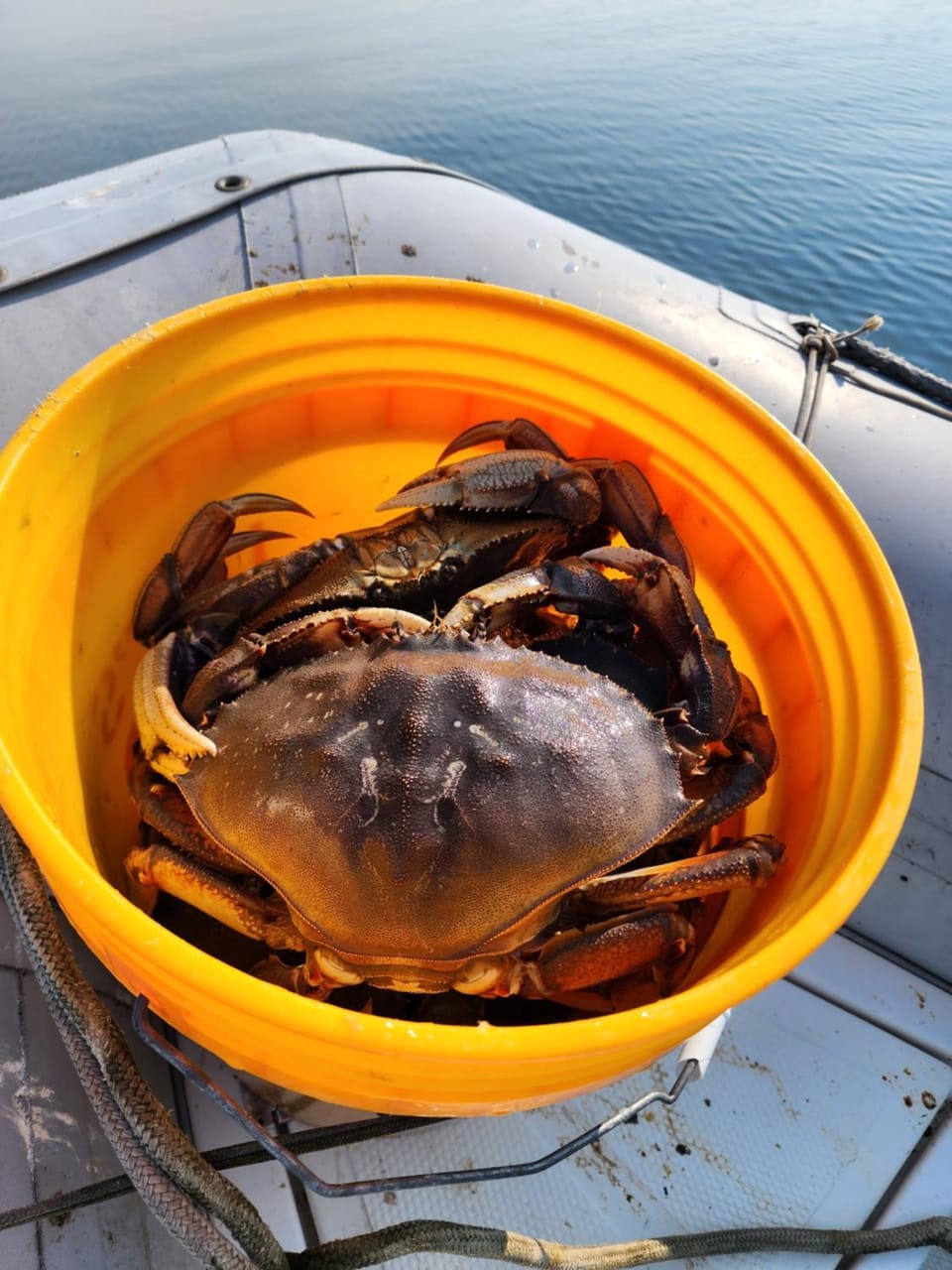 Warm Beach House Stanwood House in Camano Island