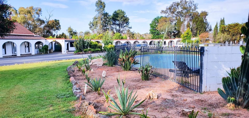 Garden, Swimming pool