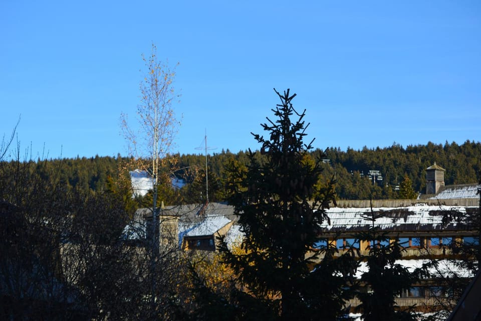 View (from property/room), Mountain view