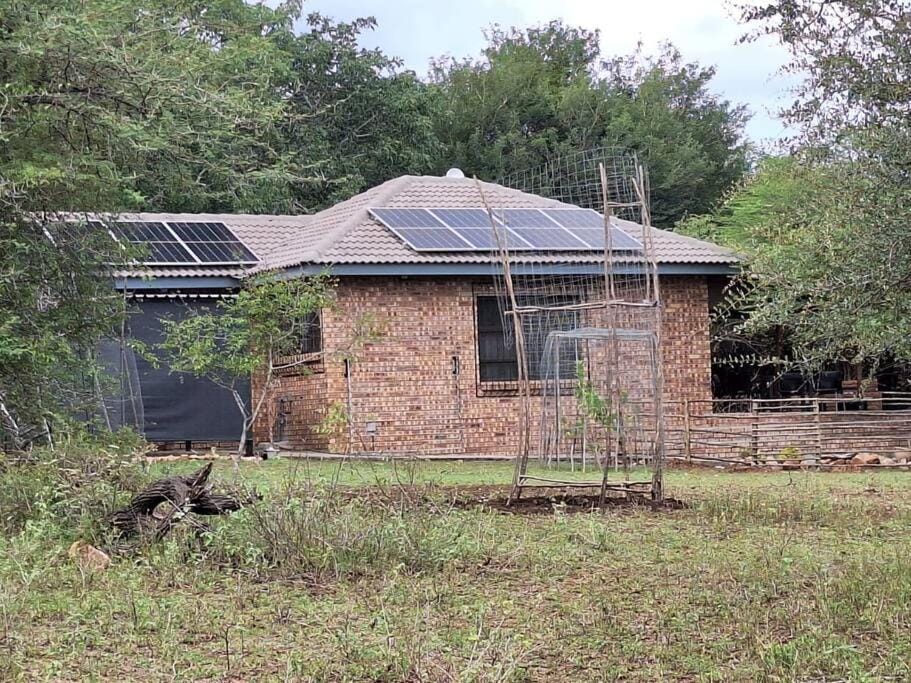 Property building, Garden, Garden