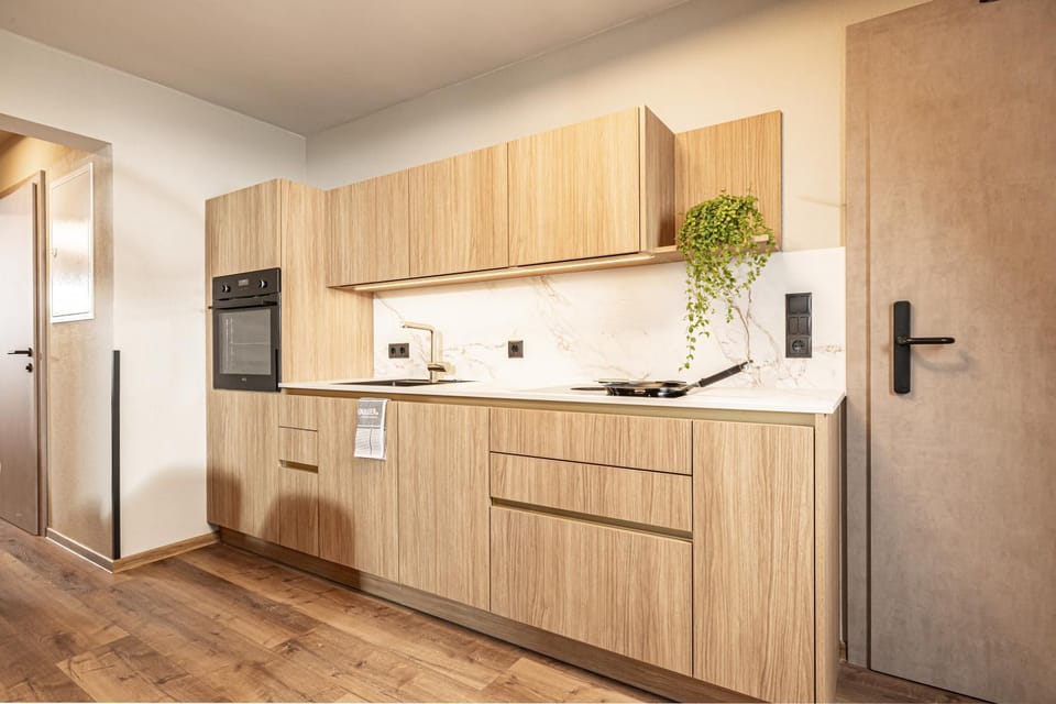 Studio 24 by Hotel Brücke Apartment in Mayrhofen