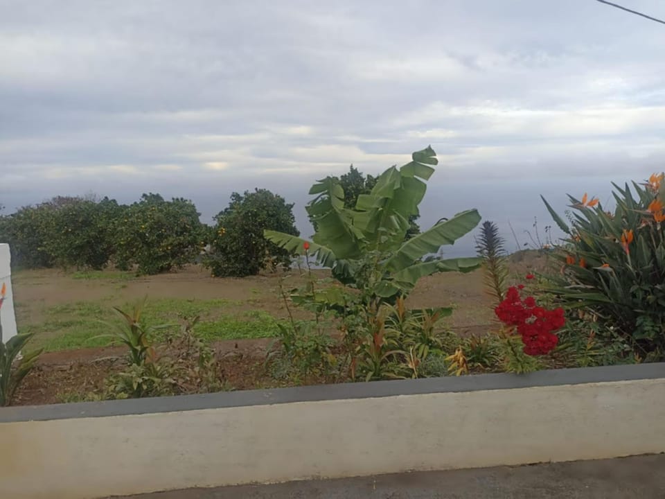 Natural landscape