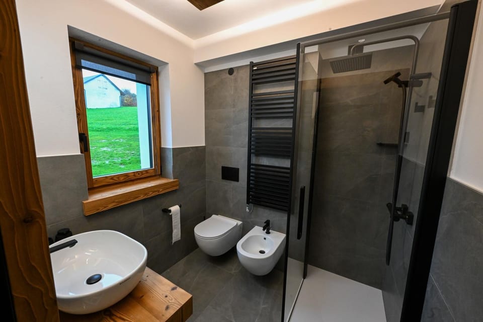 Shower, Toilet, Bathroom, bidet