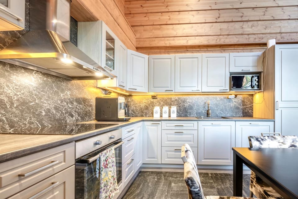 Kitchen or kitchenette, dishwasher, oven, stove, toaster