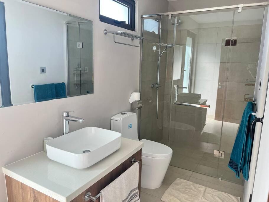 Shower, Bathroom, towels