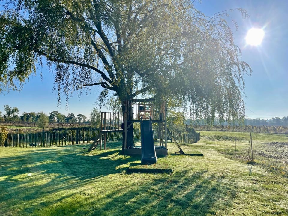 Spring, Day, Natural landscape, Garden, Garden view