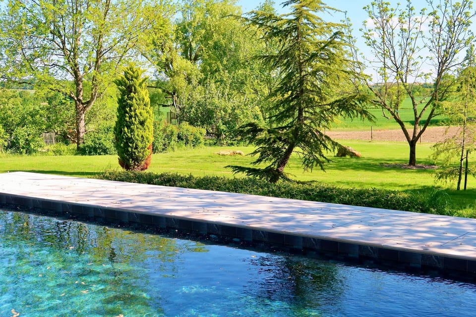 Natural landscape, Garden, Garden view, Pool view, Swimming pool