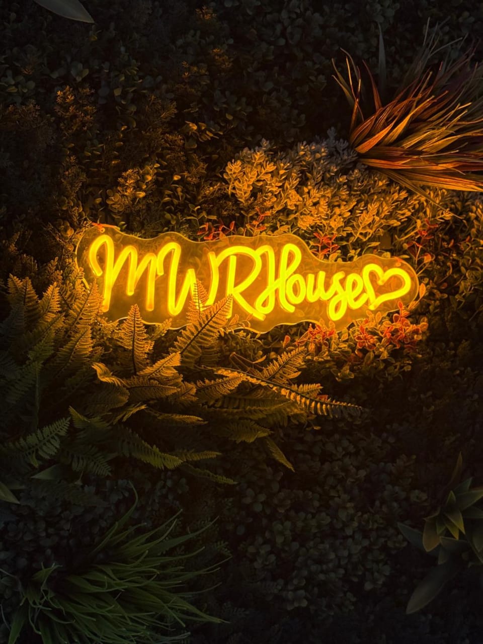 Logo/Certificate/Sign, Logo/Certificate/Sign