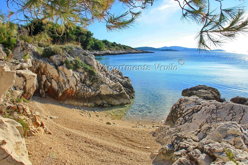 Beach, Logo/Certificate/Sign, Entertainment