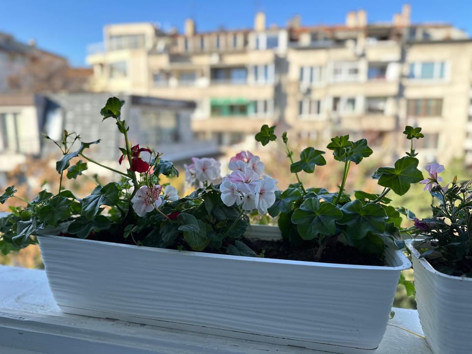 Something In French Apartment in Burgas