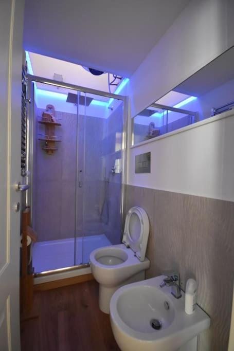 Shower, Toilet, Bathroom, bidet