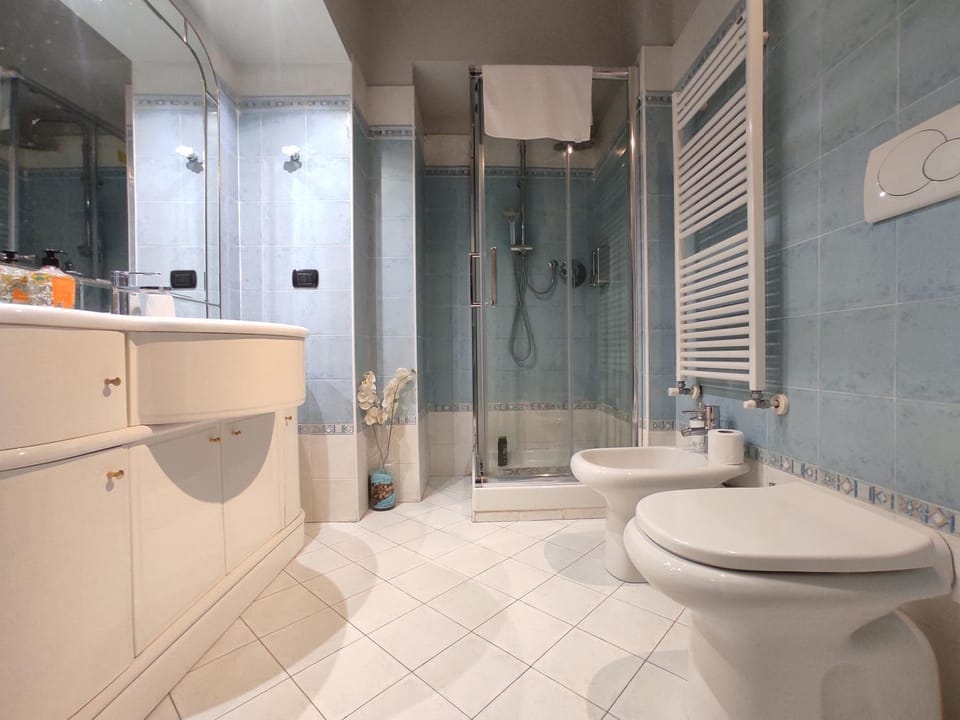 Shower, Toilet, Bathroom, bidet