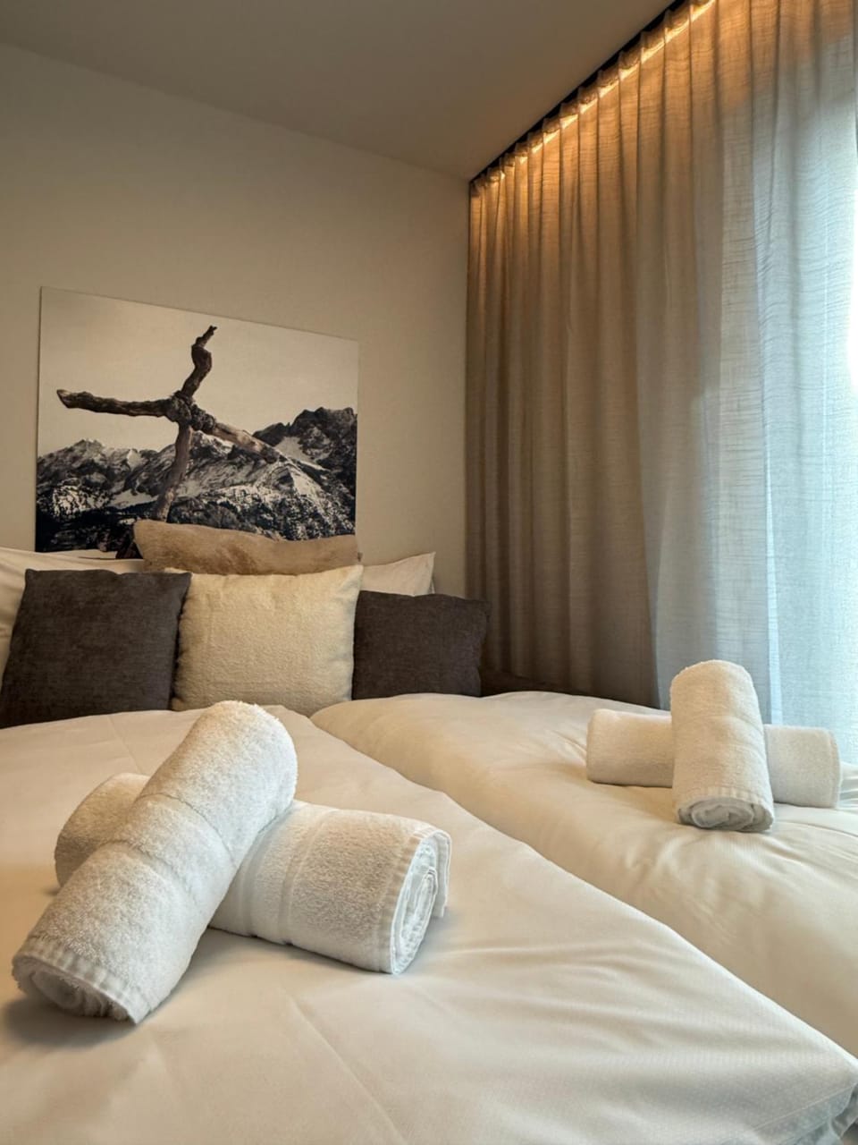 Bed, Photo of the whole room, towels