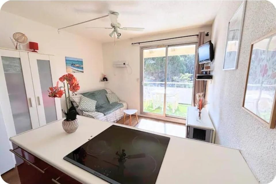 Appartement cosy Le Phoebus Apartment in Canet-en-Roussillon