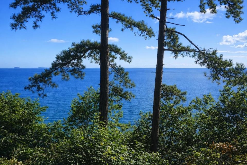 Sea view