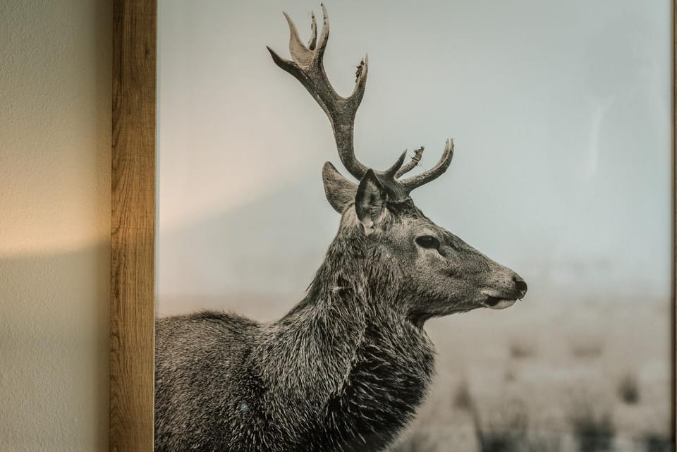 Gasthaus Spieker Hotel in North Rhine-Westphalia