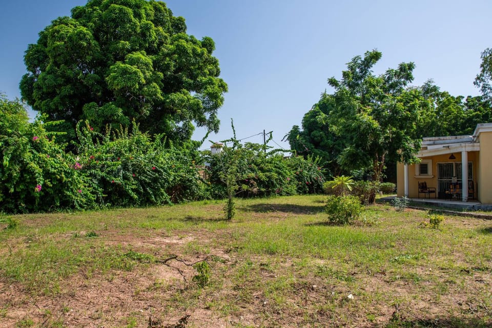 Patio, Garden, Garden view