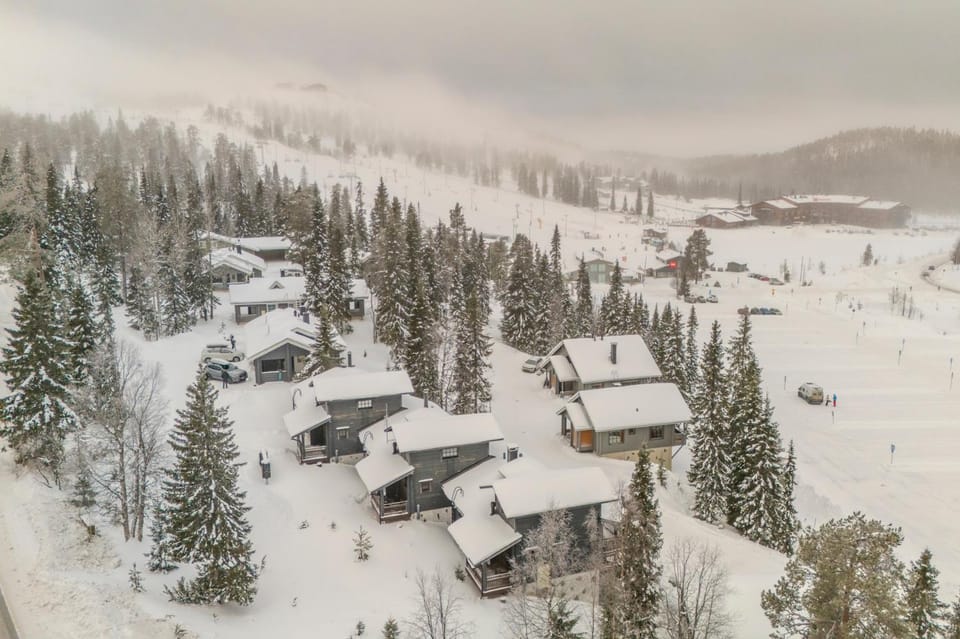 Natural landscape, Bird's eye view, Winter