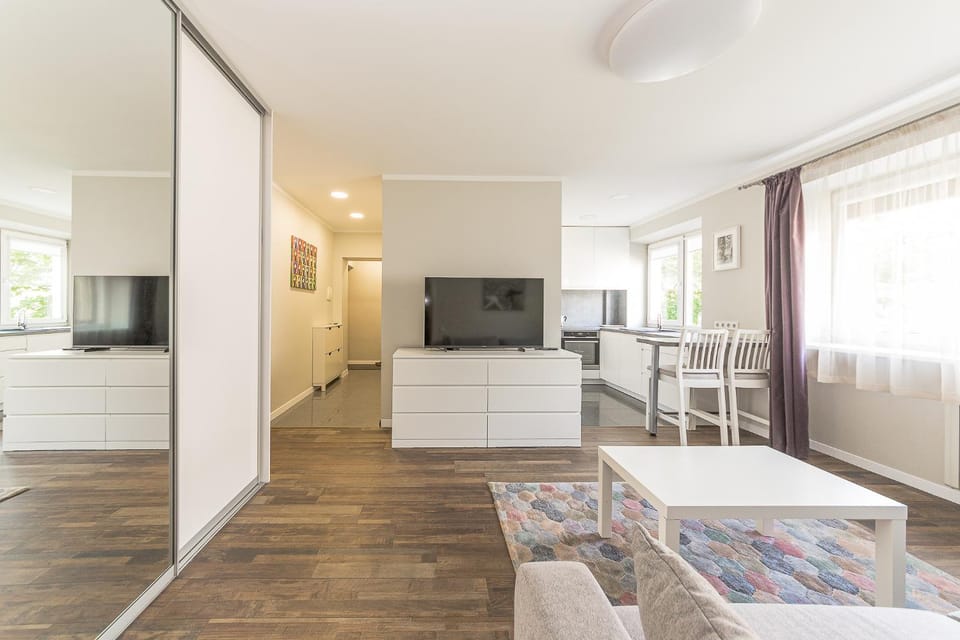 Living room, kitchen