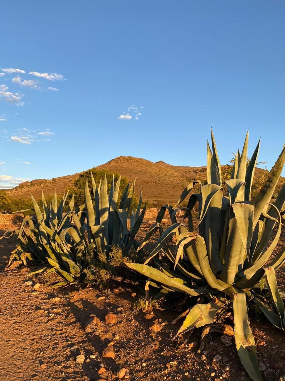 Natural landscape, Hiking