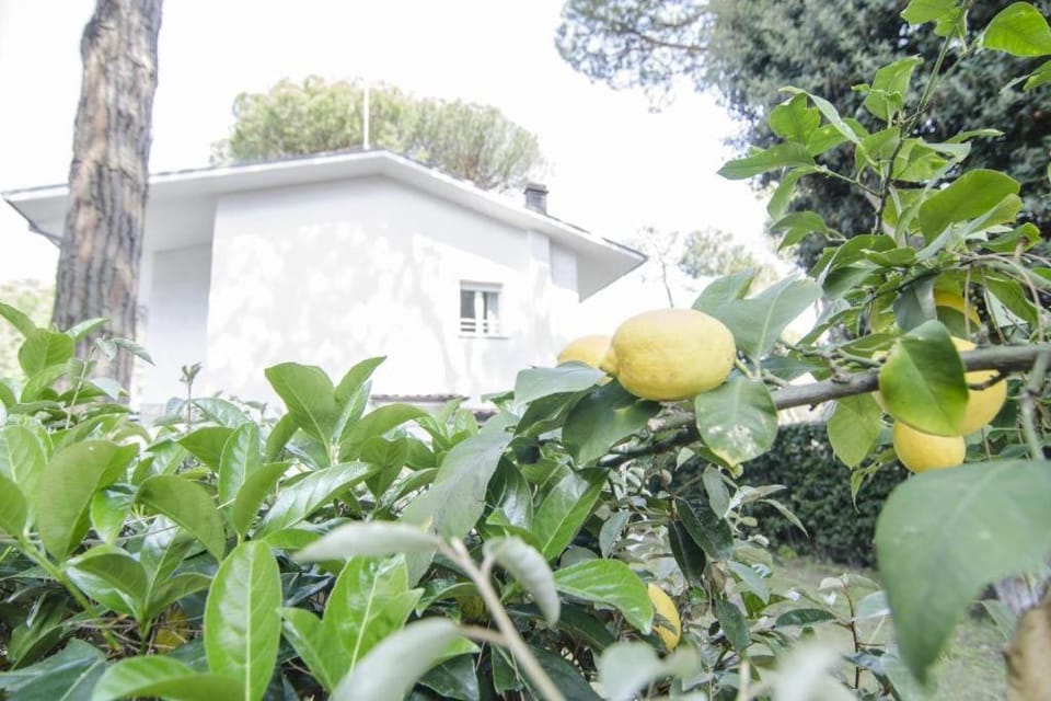 Appartamenti Federica 12T Apartment in Milano Marittima